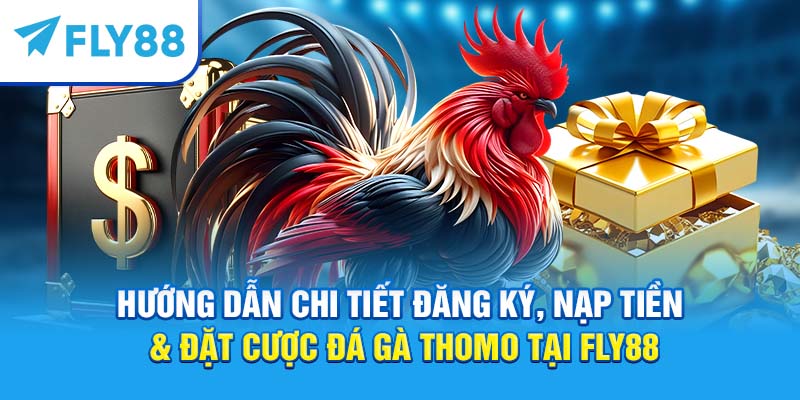 Fly88 – Trang Cá Cược Đá Gà Thomo Trực Tuyến Uy Tín Tốt Nhất 2025 3 Hướng dẫn chi tiết đăng ký, nạp tiền & đặt cược đá gà Thomo