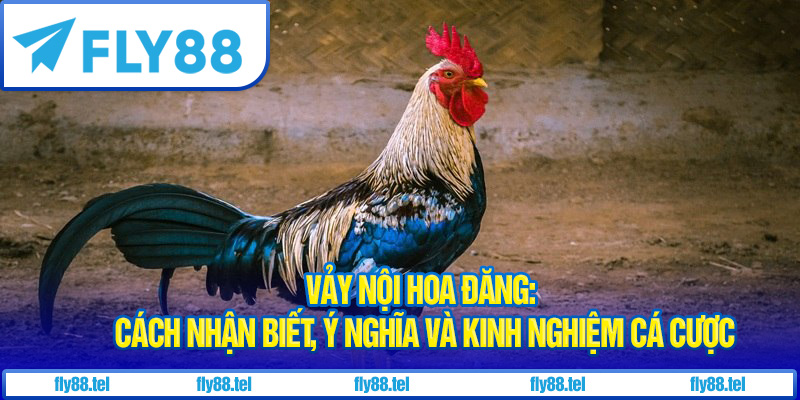 Vảy Nội Hoa Đăng: Cách Nhận Biết, Ý Nghĩa và Kinh Nghiệm Cá Cược 10 Vảy nội hoa đăng